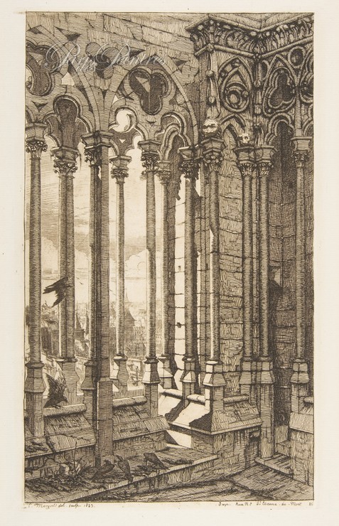 Galerie de la cathédrale Notre-Dame Image 1